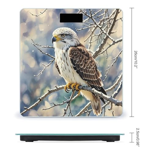 Báscula Digital de Vidrio Templado Hawk para Baño miniatura 2