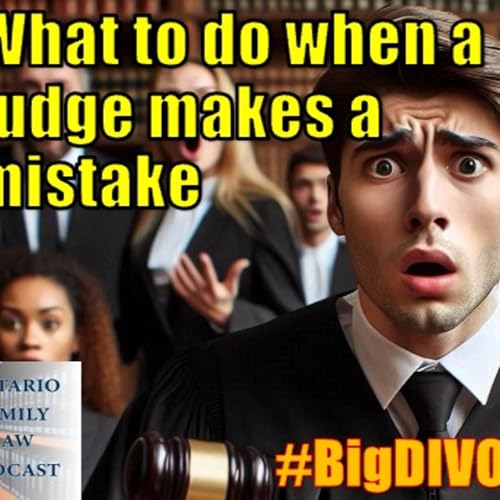 『What to Do When A Family Court Judge Makes A Mistake』のカバーアート