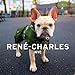 Rene-Charles: NYC: Little Bulldog in the Big City