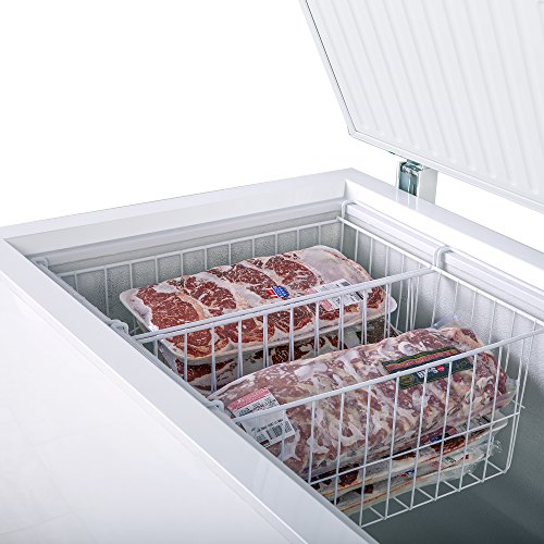 Duura DCF30 Chest Freezer Sub Zero Commercial Freezer With Split Top Double Locking Lids, Indoor Or Outdoor Ready thumb #1