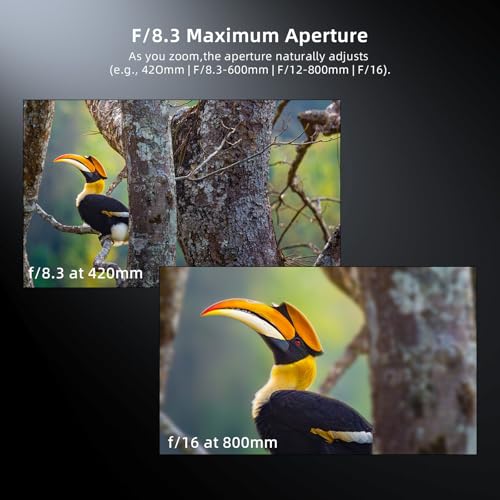 Image of 420-800mm f /8.3 Manual Zoom Lens, Moon /Wildlife | Manual Focus only, 3 T-mount Adapter, f /8.3-16, Bright Daylight + Sturdy Tripod Required, No AF /IS /Electronics
