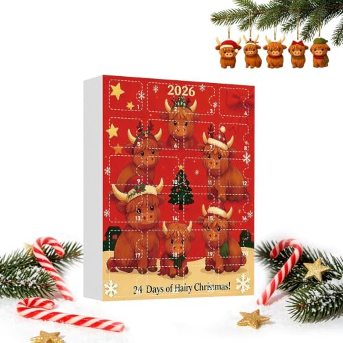 Calendrier de l'Avent Noël 2026 Décorations Acrylique 2D 24 Jours Ornements