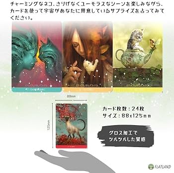 Amazon.co.jp: 【日本語解説書付き】ファンタジー キャッツ オラクル
