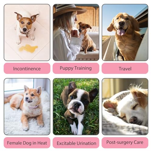 Image of Paw Legend Washable Reusable Female Dog Period Diapers for Heat Doggie Puppy Diapers for Female Dogs (3 Pack,X-Small)
