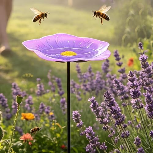 Bol d'eau pour pollinisateurs contre la sécheresse de la pelouse