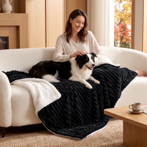 Image of BEDELITE Soft Sherpa Throw Blanket for Couch, Fluffy Gift, Black, 50x60