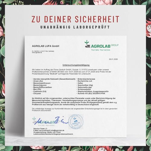 Eisen Komplex mit Vitamin C und Fenchel vegan - 120 Kapseln - vegane Eisentabletten in Kapselform, leichter zu schlucken - ohne Zusatzstoffe, laborgeprüft