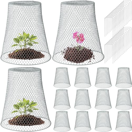 Therwen 15 Pcs Large Plant Wire Cloche 11 x 12 Inch Metal Garden Cloche with Garden Stakes Plant Protector from Animals for Keeping Bunnies Chicken Squirrels Birds (Silver) by Therwen - Image 9