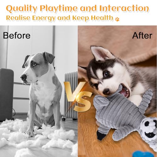 BoleShine Hundespielzeug Quietschendes, Zahnreinigendes Hundespielzeug Plüsch Interaktives Spielsachen Kauspielzeug Gefüllte Spielzeug für Welpen, Kleine, Mittlere, Große Hunde (Grauer Waschbär)