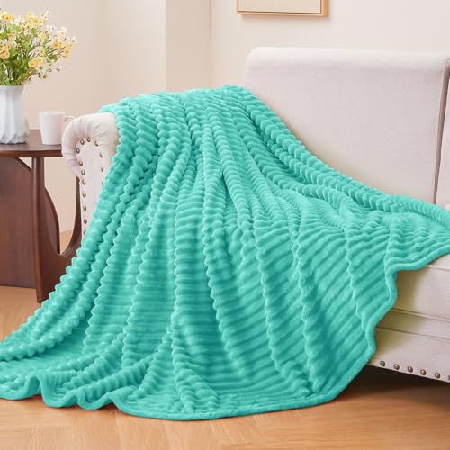 Image of BEDELITE Fleece Throw Blanket for Couch - 3D Ribbed Jacquard Soft and Warm Decorative Fuzzy Blanket - Cozy, Fluffy, Plush Lightweight Aqua Throw Blankets for Bed, Sofa, 50x60 inches
