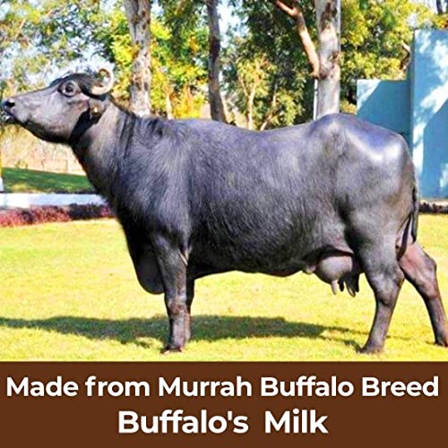 Image of Shahji Premium Buffalo's Desi Ghee Desi Bilona Ghee Noni Ghee Grass fed Murrah Buffalo Traditional Method Improves Bone Health and Digestion (Pack of 1-45.5 ML /50 GMS)