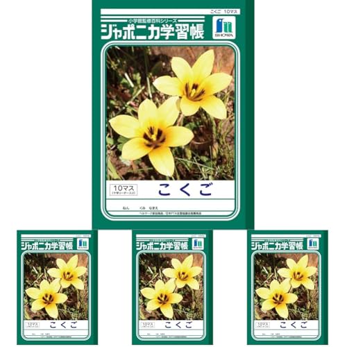 VEm[g W|jJwK  10}X \⏕ JL-8 (× 4)