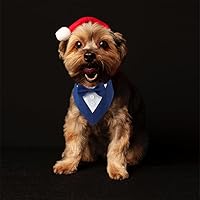 Vista 7 de Bandana de boda para perro, collar formal de esmoquin ajustable para perro con lazo, ropa de boda pequeña, mediana y grande, regalos de cumpleaños