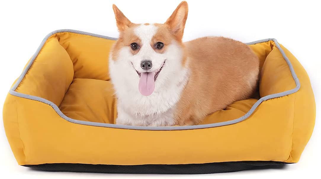 See full amazon price history chart for Cutepups (Large Size Square Shape Dog Bed for Labrador,German Shepherds,Golden Retrievers,Dachshund,Beagles,Pug,Pomeranians,Rottweilers (Yellow Color) Cutepups (Large Size Square Shape Dog Bed for Labrador,German Shepherds,Golden Retrievers,Dachshund,Beagles,Pug,Pomeranians,Rottweilers (Yellow Color) (B0C195LZS3) Amazon Price History, Amazon Price Tracker