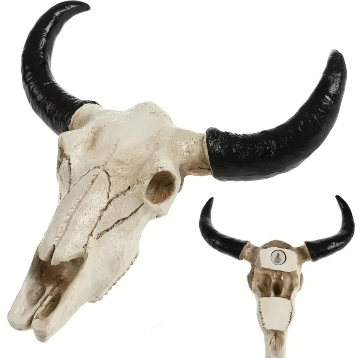 Amazon.co.jp: アガベの棚に飾ったらかっこいい！ スカルホーン