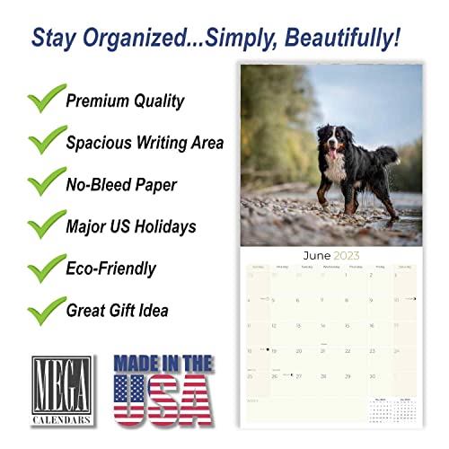 2022 2023 Bernese Mountain Dog Calendar - Dog Breed Monthly Wall Calendar - 12 X 24 Open - Thick No-Bleed Paper - Giftable - Academic Teacher's Planner Calendar Organizing & Planning - Made In Usa #TOP1