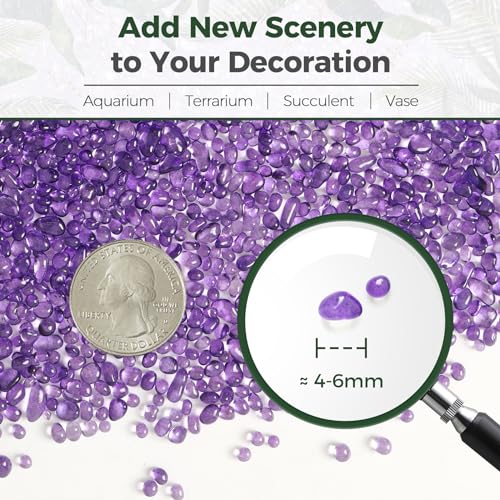 Image of T4U Fish Tank Gravel 2 LB, Tumbled Small Rocks for Aquarium, Glass Beads for Vases, Succulent Rocks for Plants, Aquarium Gravel Decorative Pebbles for Terrarium Crafts Vase Filler, Purple