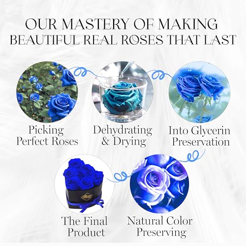 Image of GLAMOUR BOUTIQUE 7 Flower Forever Heart Shape Box, Mothers Day Gift For Mom, Eternal Preserved Roses Gift for Her, Flowers bouquet, For Birthday, Anniversary, Girlfriend - Blue (Color-Treated)
