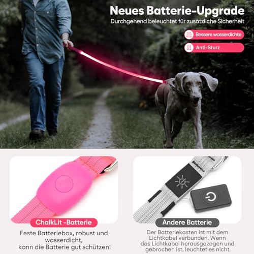 ChalkLit LED Hundeleine, Beleuchtete Hundeleine über USB Wiederaufladbar, 1,2 m, Weich Wasserdicht Reflektierend, für nächtliche Spaziergänge für große, mittelgroße Haustiere blinkende