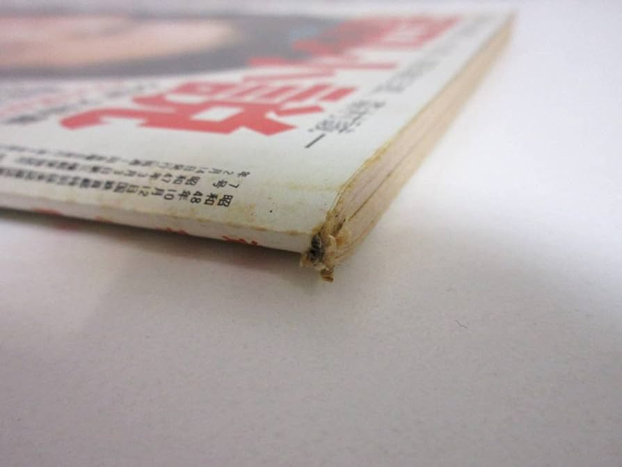 週刊小説 昭和50年 5月9日号 表紙 いけだももこ 実業之日本社 61B06YE7ScL._UF350,350_QL50_.jpg