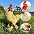 Teaeeno Real Rooster Yard Decor, Chicken Yard Decorations Outdoor,Garden Rooster Decor for Outside,Lawn Statues Decorative Ornaments for Home Patio Backyard Landscape, Ornament for Women/Gardening
