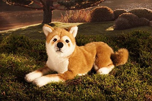 Teddys Rothenburg Pluszak Shiba-Inu leżący brązowy/biały 33 cm pluszowy pies