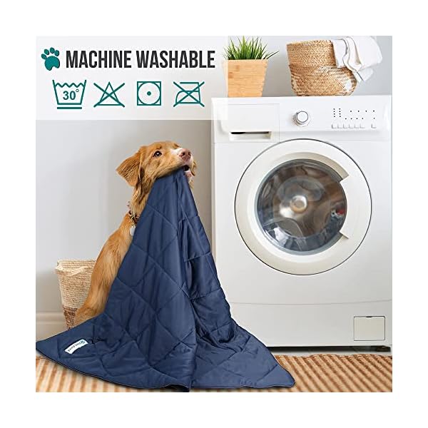 PetAmi Premium Cooling Dog Blanket | Lightweight Fluffy Pet Throw Blanket Bed Cover for Dogs, Cat, Puppies | Pet Blanket Furniture Protector Couch Sofa | Reversible Fuzzy Cozy | 29×40, Navy Blue PetAmi Premium Cooling Dog Blanket | Lightweight Fluffy Pet Throw Blanket Bed Cover for Dogs, Cat, Puppies | Pet Blanket Furniture Protector Couch Sofa | Reversible Fuzzy Cozy | 29×40, Navy Blue