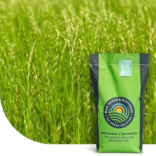 Deutsches Weidelgras - Lolium perenne | 2 kg für ca. 500 m² | Mehrjährig | Sehr schnelle Keimung | Hohe Ausdauer | Für alle Böden geeignet | Ideal zur Nachsaat von Rasenflächen Deutsches Weidelgras - Lolium perenne | 2 kg für ca. 500 m² | Mehrjährig | Sehr schnelle Keimung | Hohe Ausdauer | Für alle Böden geeignet | Ideal zur Nachsaat von Rasenflächen