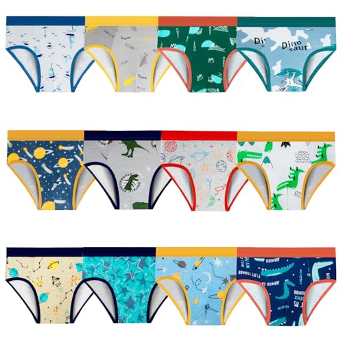 Cogindss Xmrlvn Toddler Underwear Boys Briefs for Boys Cute Cartoon 2-3 Years Multicolor 12 Pack