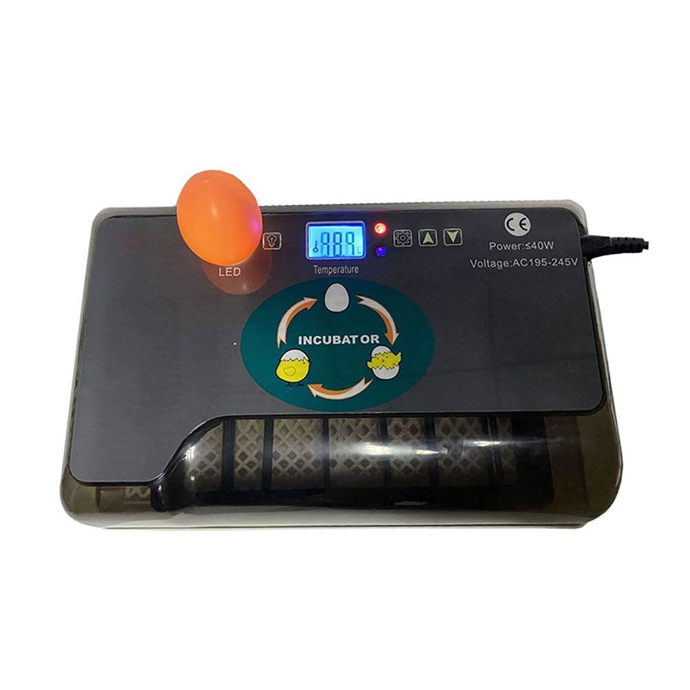 Incubatrice per Uova da 12 Litri Completamente Automatica, Piccola incubatrice per allevatori generici, Display della Temperatura per schiusa, polli, Anatre, oche, uccell