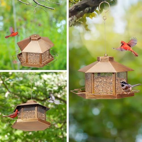 Metal Bird Feeder for Outdoor Hanging, 7.4LB Large Capacity, Garden Decoration - Attracts Wild Birds, Durable Outdoor Bird Feeding Station for Garden Yard Outside Backyard (Extra Large Gold) by DTEPFUEN - Used condition - Image 7