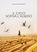 Il Cielo Sopra L'albero - 3