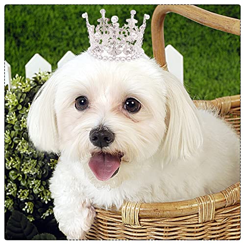 BIPY 2 Stück Hundekrone Stirnband Haustier Geburtstag Hüte Kopfschmuck Gold Silber Prinzessin Strass Kunstperle Krone Tiaras für mittelgroße kleine Welpen Katzen Hunde Party Hochzeit Haarschmuck