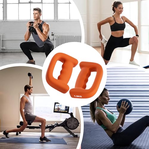 Lot de 2 haltères polyvalents pour le renforcement musculaire doux