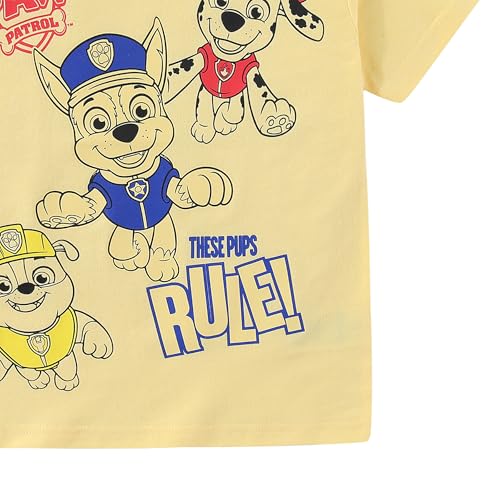 Paw Patrol Nickelodeon Boys Short Sleeve T-Shirt for Toddler and Big Kids4