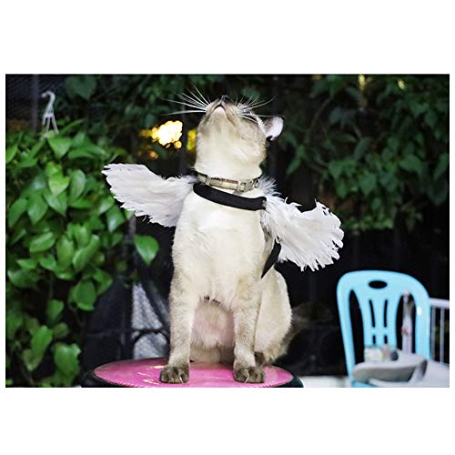 Weeh Pet Halloween Costume Cosplay Angel Devil Black White Wing For Dog Cat Rabbit Piggy thumb #2