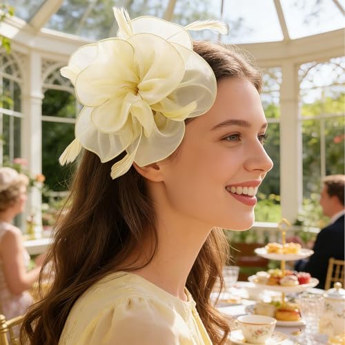 Image of DRESHOW Fascinators Hat Tea Party Headwear Ribbons Feathers on a Headband and a Clip for Women