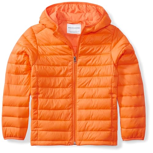 Image of Amazon Essentials Boys and Toddlers' Lightweight Water-Resistant Packable Hooded Insulated Puffer Jacket