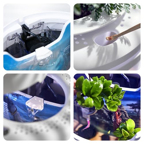 Image of Small Fish Tank 1.2 Gallon Aquarium Starter Kit Desktop Mini Fish Bowl Small Betta Fish Tank with Plant Pot (Forest)