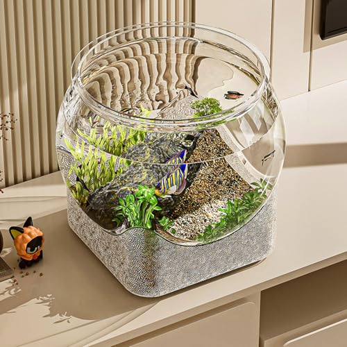 Aquarium transparent betta pour décoration de bureau et salon - 4