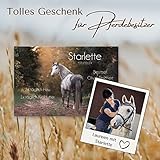 Pferdeschilder Boxenschilder mit eigenem Foto und Wunschtext | AluDibond Alu Verbundplatte | 30x20 cm | sofort personalisierbar | inkl. Brandzeichen & Motiven