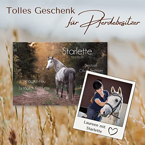 Pferdeschilder Boxenschilder mit eigenem Foto und Wunschtext | AluDibond Alu Verbundplatte | 30x20 cm | sofort personalisierbar | inkl. Brandzeichen & Motiven