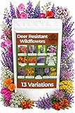 Deer Resistant Wildflower Seeds (2oz) Hardy Garden Flowers Designed to Deter Deer & Support Pollinators