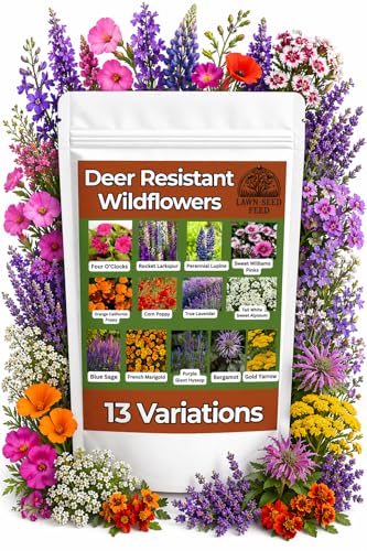 Deer Resistant Wildflower Seeds (2oz) Hardy Garden Flowers Designed to Deter Deer & Support Pollinators