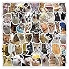 Paquete de 50 calcomanías únicas de meme de gato, calcomanías de vinilo impermeables a prueba de rayos UV para botellas de agua, portátiles, equipaje y patineta, sin duplicados, calcomanías de gato