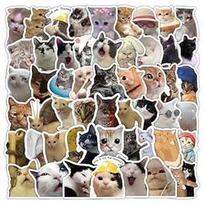 Paquete de 50 calcomanías únicas de meme de gato, calcomanías de vinilo impermeables a prueba de rayos UV para botellas de agua, portátiles, equipaje y patineta, sin duplicados, calcomanías de gato