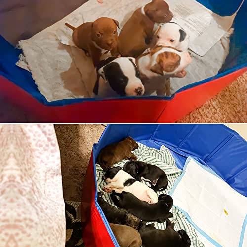 image for Artilife Whelping Pen for Dogs,Whelping Box for Dogs and Puppies,Dog B