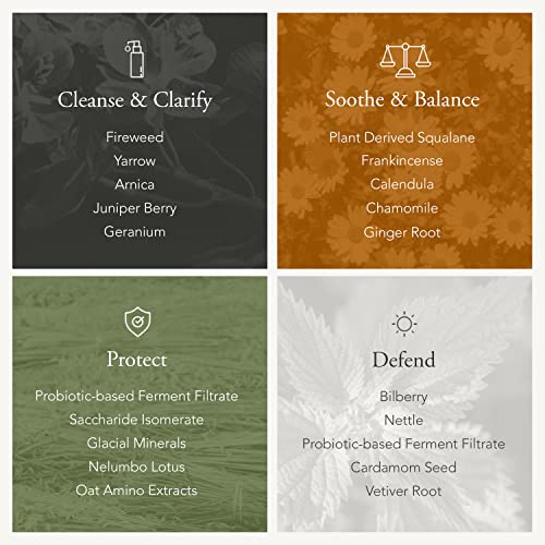 Caldera + Lab The Clean Slate | Men's Organic Foaming Facial Cleanser For Dry, Sensitive, & Normal Skin – Vegan, Natural & Antioxidant Packed Exfoliating Face Wash #TOP2