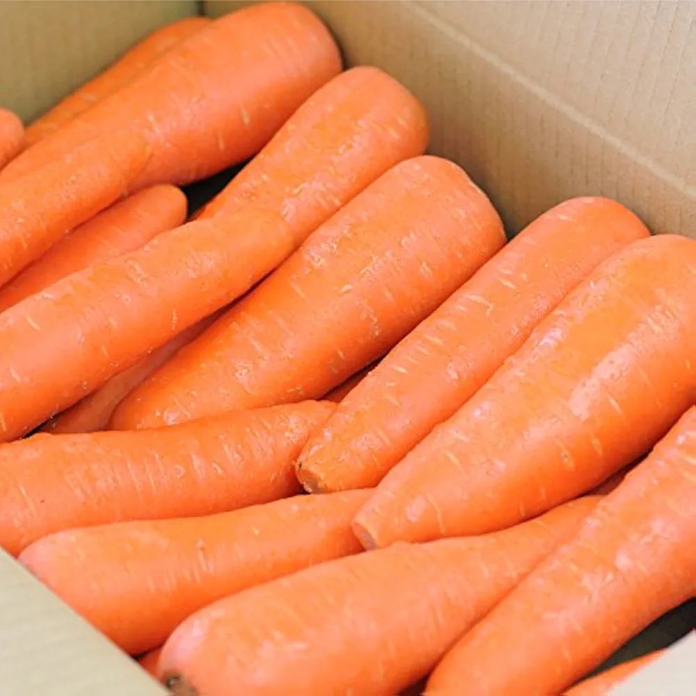 めっちゃ安い　訳あり　人参　20kg  47 Amazon.co.jp: 訳あり 無農薬にんじん 5kg ピカイチ野菜くん