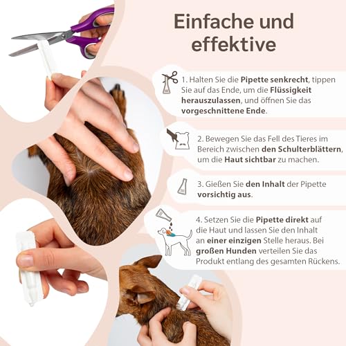 amusi Schutzampullen mit Neemöl für Hunde - 5 Ampullen zu je 1 ml - Gegen Zecken, Flöhe, Mücken, Läuse - Lang Anhaltender und Natürlicher Schutz mit Schild-Effekt